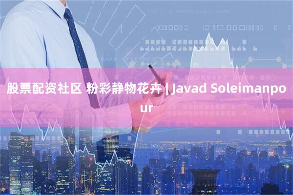 股票配资社区 粉彩静物花卉 | Javad Soleimanpour